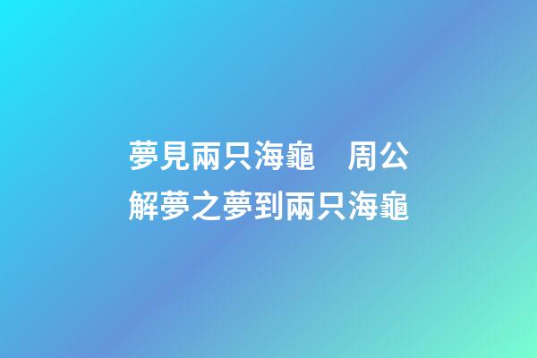 夢見兩只海龜　周公解夢之夢到兩只海龜